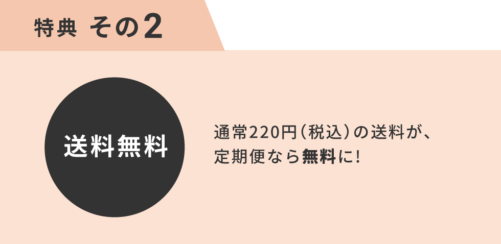 特典その2 送料無料