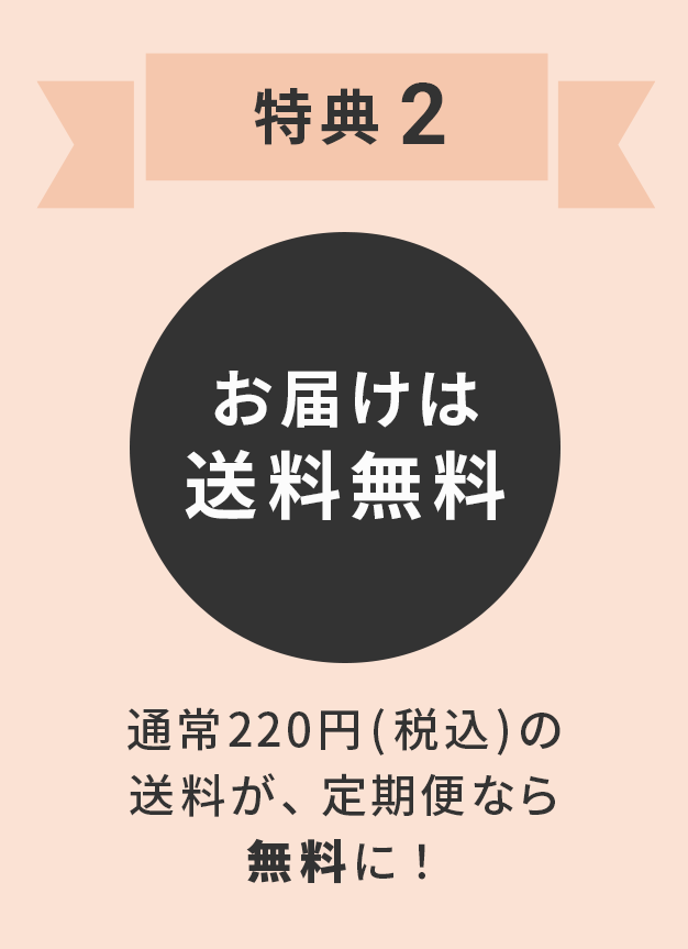 特典その2 送料無料